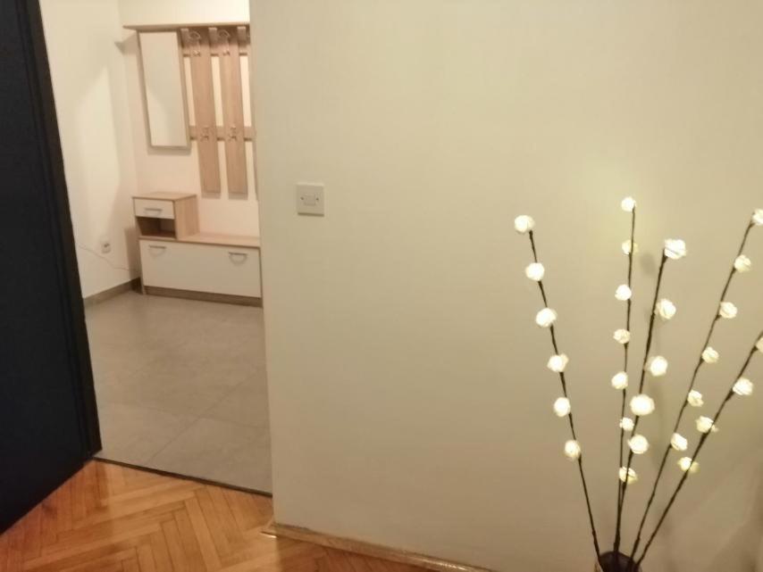 Apartman Sanja Пула Екстер'єр фото